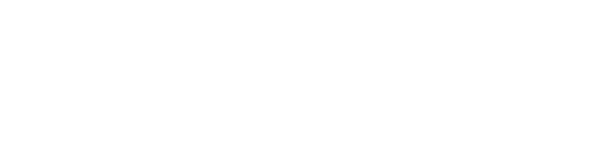 CypSec Logo